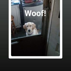 Meet your Posher, Edward